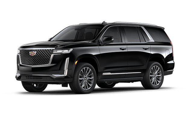 Premium SUV